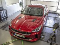 DTE Performance Kia Stinger (2018) - picture 3 of 8