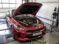 DTE Performance Kia Stinger (2018) - picture 4 of 8