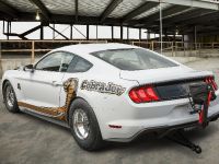 Ford Mustang Cobra Jet (2018) - picture 3 of 8
