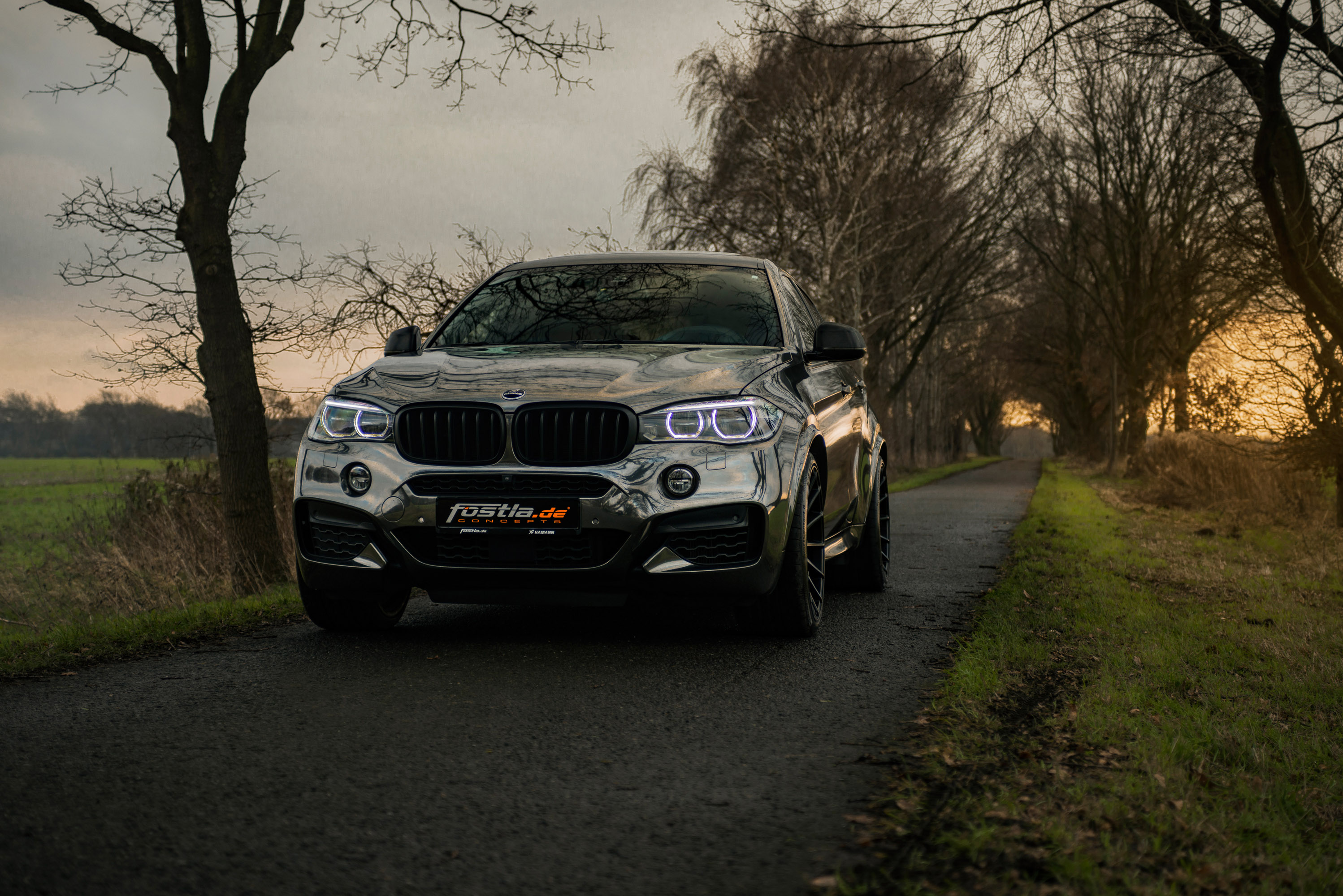 fostla.de BMW X6 M50d F16