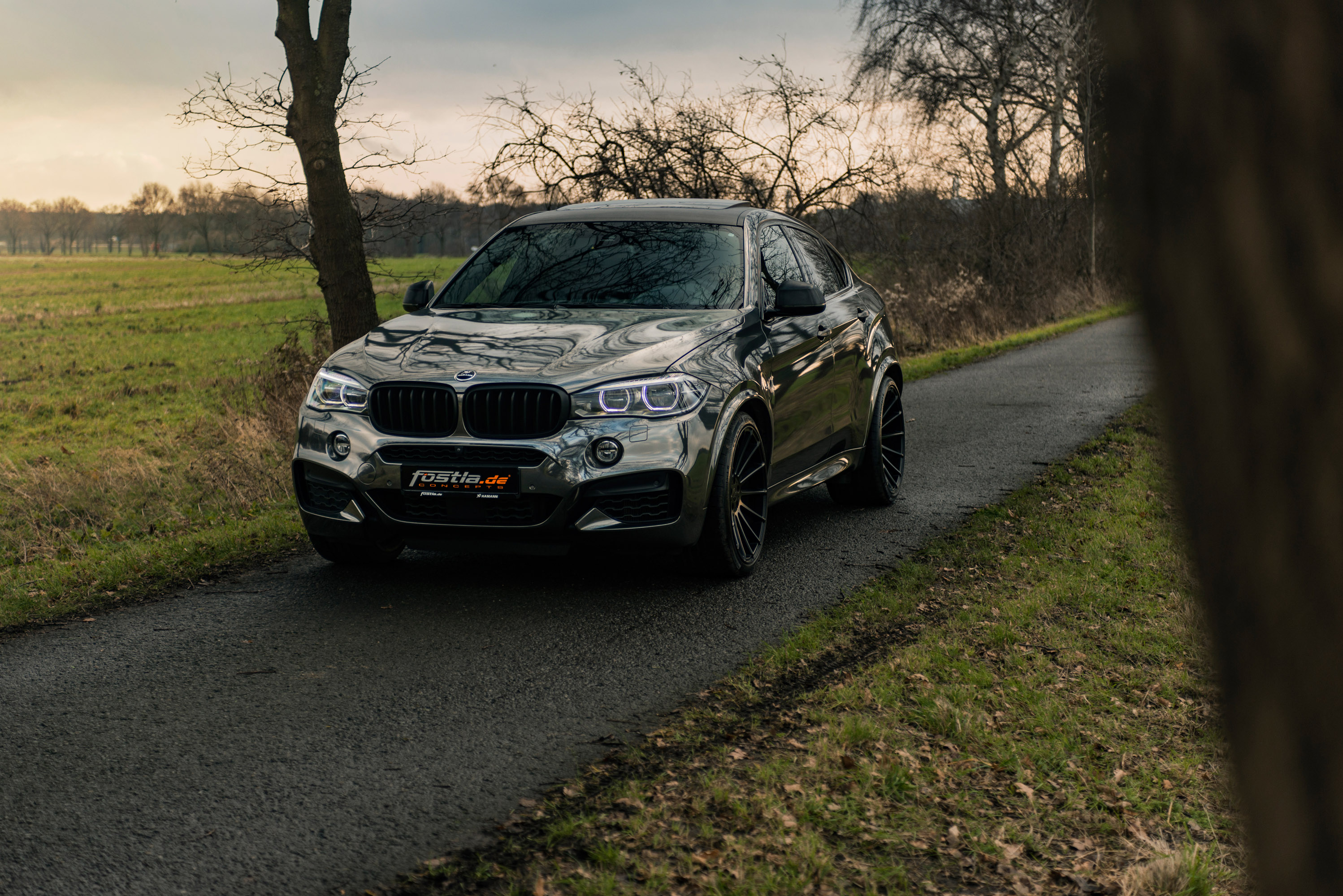 fostla.de BMW X6 M50d F16