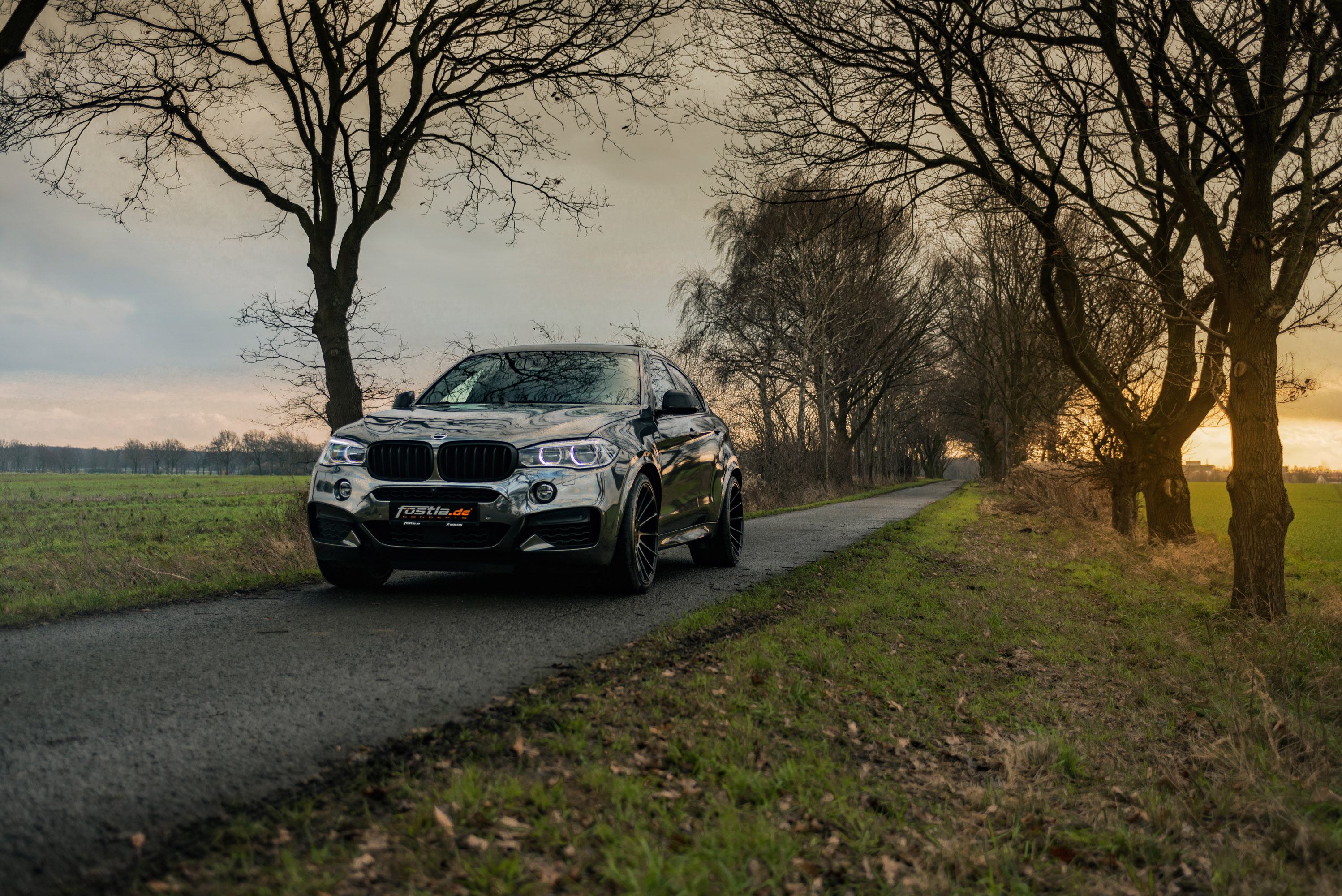 fostla.de BMW X6 M50d F16