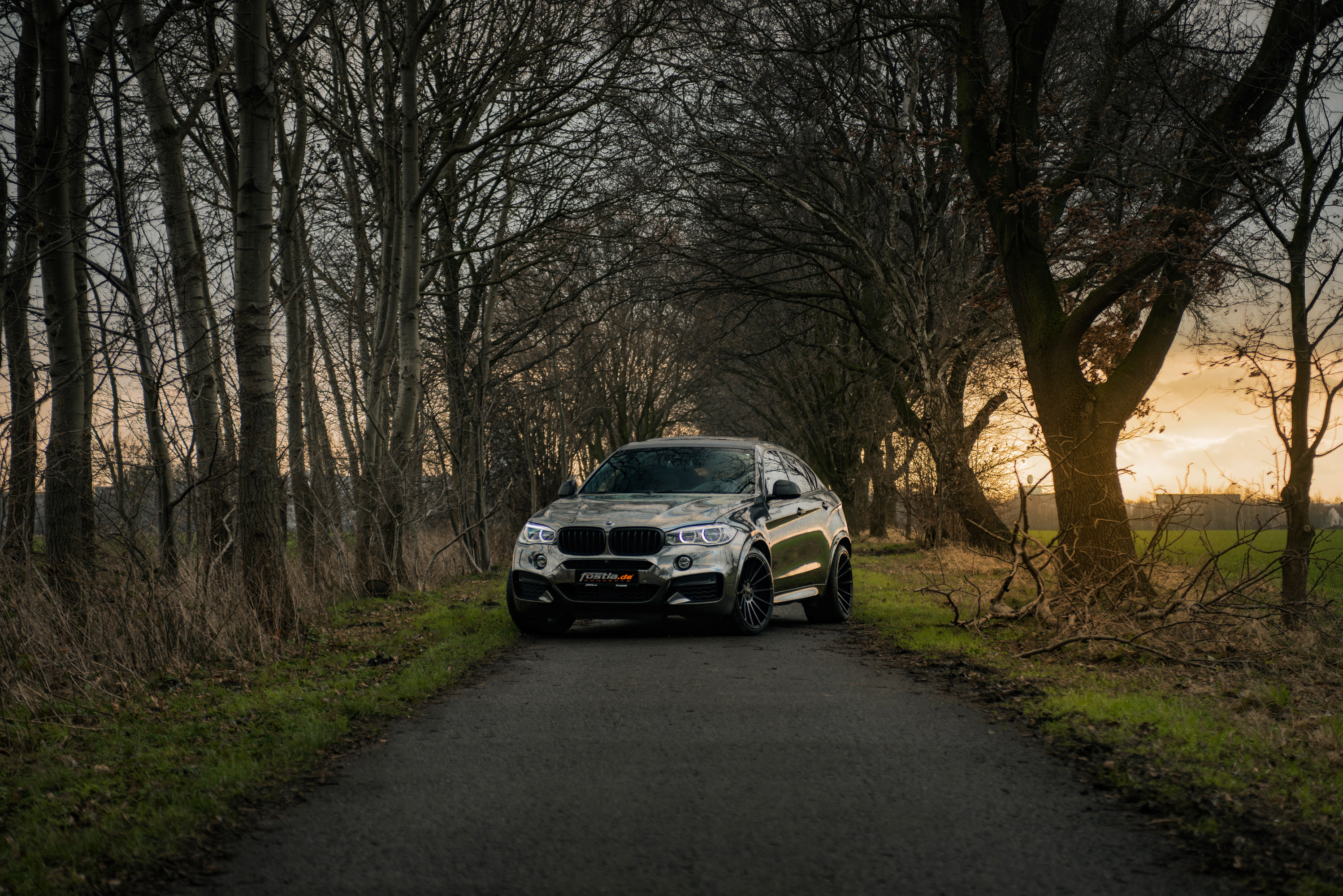 fostla.de BMW X6 M50d F16