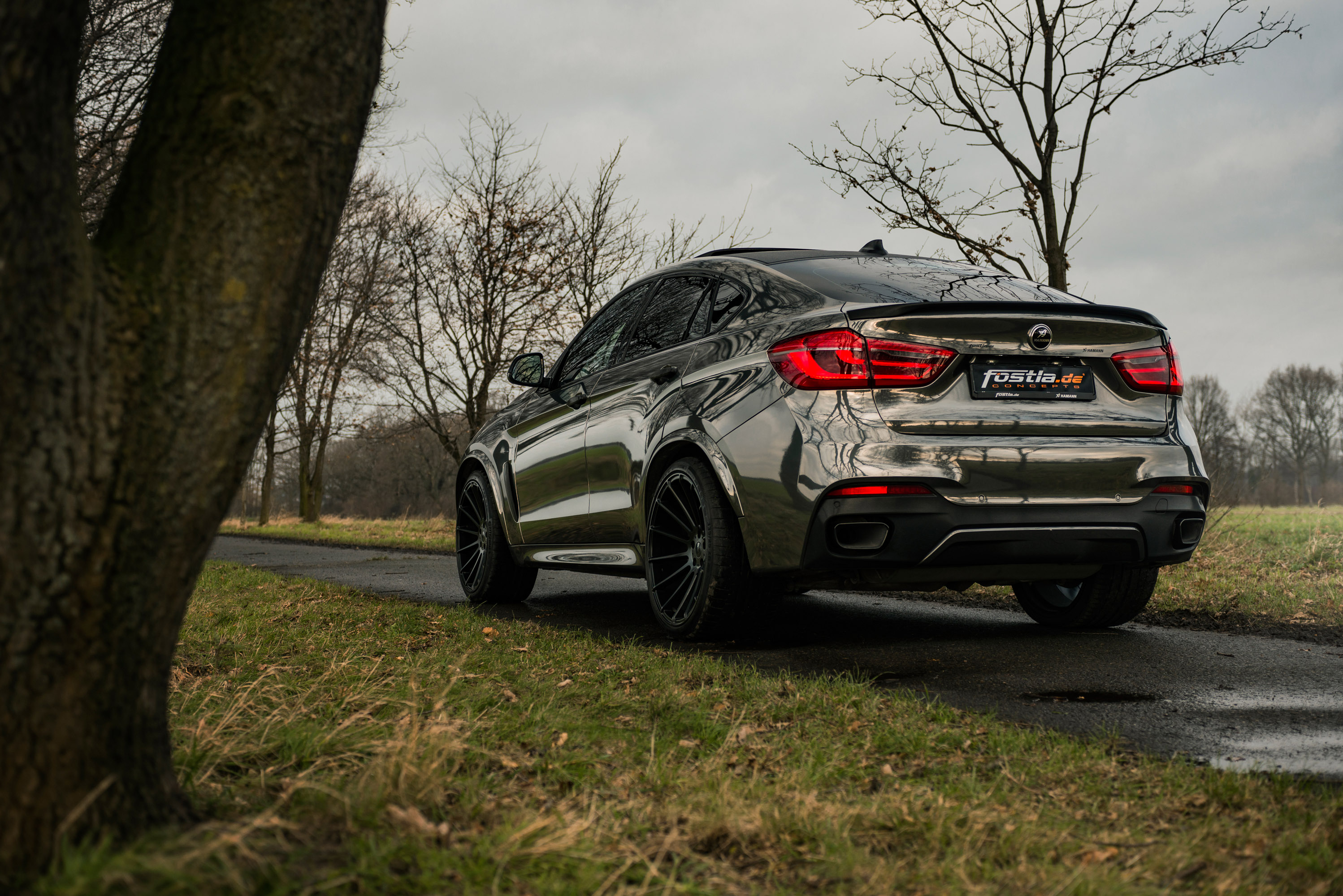 fostla.de BMW X6 M50d F16