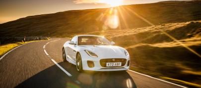 Jaguar F-TYPE Chequered Flag Edition (2018) - picture 4 of 18