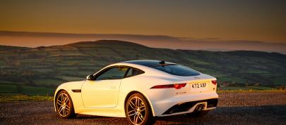 Jaguar F-TYPE Chequered Flag Edition (2018) - picture 7 of 18