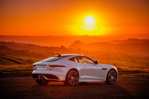 Jaguar F-TYPE Chequered Flag Edition (2018) - picture 8 of 18