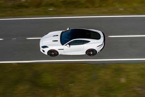 Jaguar F-TYPE Chequered Flag Edition (2018) - picture 9 of 18