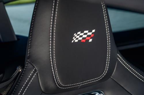 Jaguar F-TYPE Chequered Flag Edition (2018) - picture 16 of 18