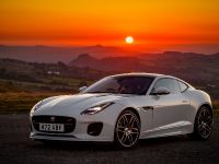 Jaguar F-TYPE Chequered Flag Edition (2018) - picture 1 of 18