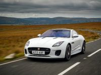 Jaguar F-TYPE Chequered Flag Edition (2018) - picture 2 of 18