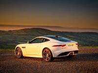 Jaguar F-TYPE Chequered Flag Edition (2018) - picture 7 of 18