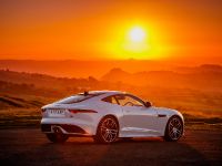 Jaguar F-TYPE Chequered Flag Edition (2018) - picture 8 of 18