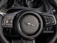 Jaguar F-TYPE Chequered Flag Edition (2018) - picture 18 of 18