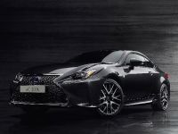 Lexus 30h F Sport Black Edition (2018) - picture 1 of 3