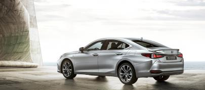 Lexus ES F Sport (2018) - picture 4 of 6