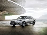 Lexus ES F Sport (2018) - picture 2 of 6