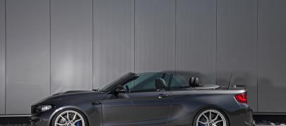 Lightweight BMW M2 LW (2018) - picture 4 of 19