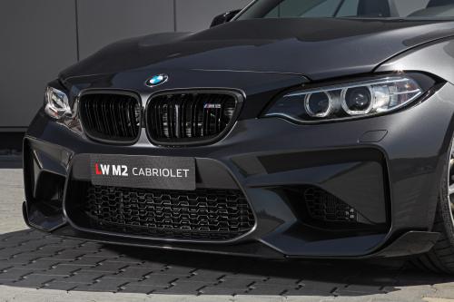 Lightweight BMW M2 LW (2018) - picture 8 of 19