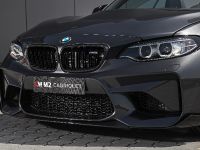 Lightweight BMW M2 LW (2018) - picture 8 of 19