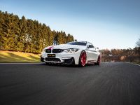 MANHART BMW MH4 550 (2018) - picture 4 of 12