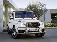 Mercedes-AMG G 63 (2018) - picture 2 of 24