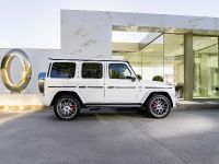 Mercedes-AMG G 63 (2018) - picture 5 of 24