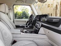 Mercedes-AMG G 63 (2018) - picture 14 of 24