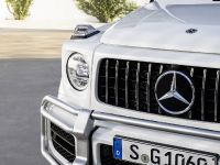 Mercedes-AMG G 63 (2018)