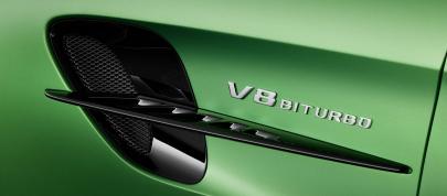 Mercedes-AMG GT R (2018) - picture 12 of 14
