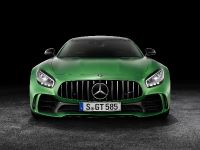 Mercedes-AMG GT R (2018) - picture 1 of 14