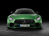 Mercedes-AMG GT R (2018) - picture 1 of 14