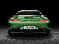 Mercedes-AMG GT R (2018) - picture 5 of 14