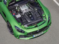 Mercedes-AMG GT R (2018) - picture 13 of 14