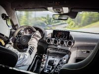 Mercedes-AMG GT R (2018) - picture 14 of 14