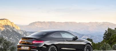 Mercedes-Benz C-Class (2018) - picture 7 of 7