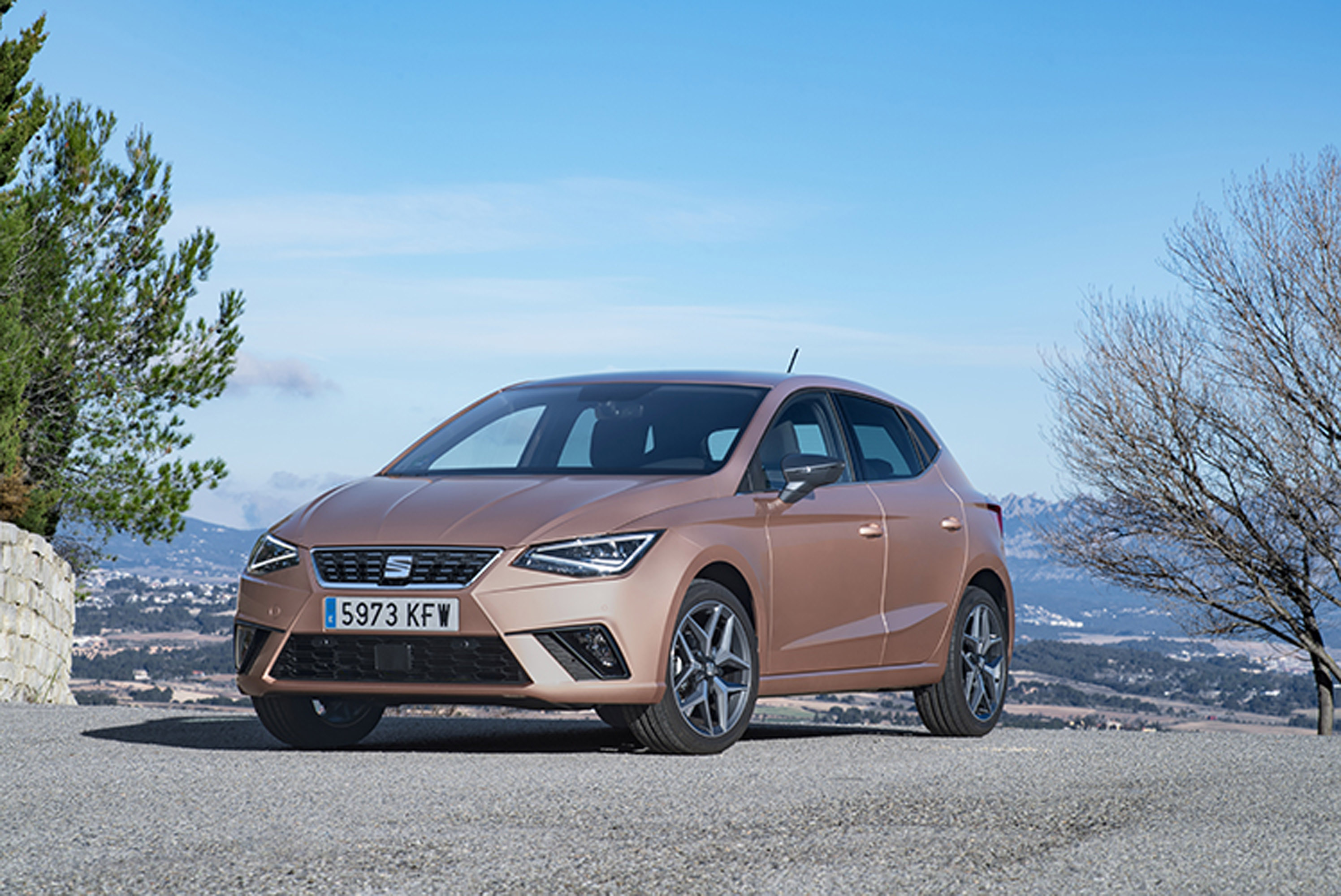 The new Seat Ibiza is modest in design, but strong in performance