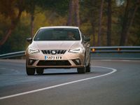 Seat Ibiza TGI (2018) - picture 3 of 12