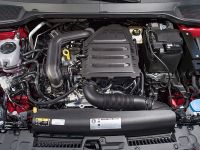 Seat Ibiza TGI (2018)