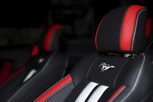 Vilner Ford Mustang GT Convertible Combo (2018) - picture 9 of 23