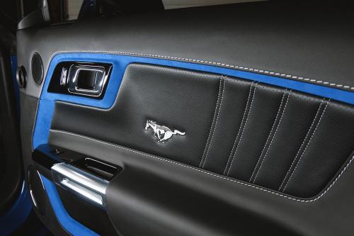 Vilner Ford Mustang GT Convertible Combo (2018) - picture 17 of 23