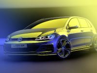 Volkswagen Golf GTI TCR (2018) - picture 1 of 4