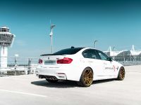 Wetterauer Performance BMW M3 GTS+ (2018)