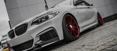 Z-Performance BMW 235i (2018) - picture 4 of 10