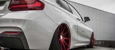 Z-Performance BMW 235i (2018) - picture 7 of 10