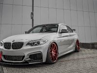 Z-Performance BMW 235i (2018) - picture 3 of 10
