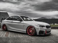 Z-Performance BMW 235i (2018) - picture 5 of 10