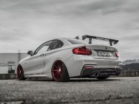 2018 Z-Performance BMW 235i