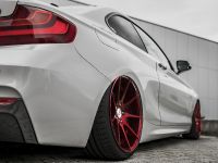 Z-Performance BMW 235i (2018) - picture 7 of 10