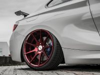 Z-Performance BMW 235i (2018) - picture 10 of 10